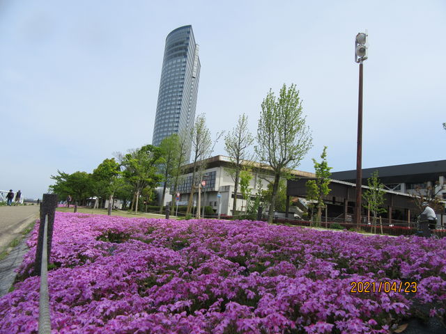 ��Ãv�����X�z�e���O�t�߂́A�ō������J�ł��B�ō������Ȃ���Ί݂��������U���ł��܂��B_�Ȃ��������̃V�o�U�N��