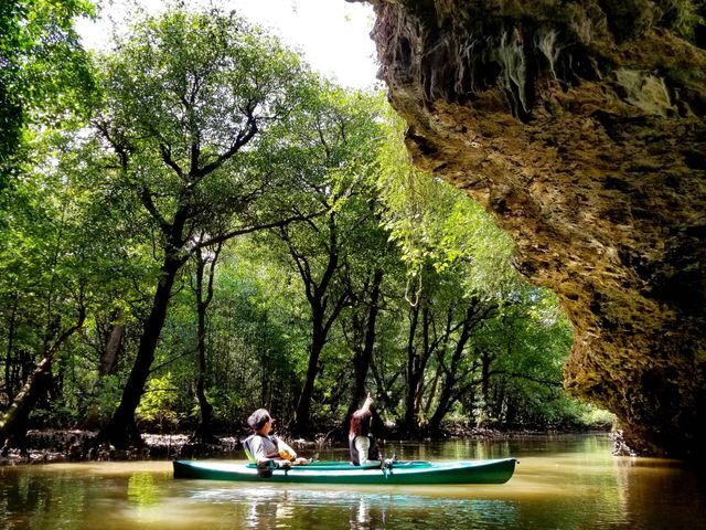 石垣島、宮良川カヌー@_OHCUS石垣島