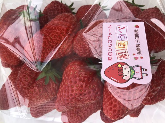 �������������Ȃ������ɑ喞���Ƃ��Ă���؂Ȏv���o�̓����܂�����������l���K���ɋC�Â���ꏊ_���c�������t�@�[��