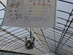 ҂̂Eu[x[_@x[̋ւ̓eʐ^1