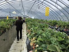 ܂̋xɑu꓇ւ̓eʐ^3