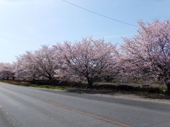 ڂ炳̑Rc炬^̍ւ̓eʐ^1