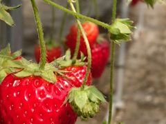 ҂̂Eu[x[_@x[̋ւ̓eʐ^1