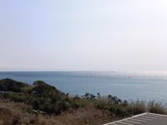 ڂ炳̓̉w݂ւ̓eʐ^2