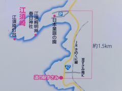 ڂ炳̓̉w݂ւ̓eʐ^3