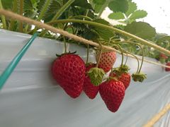 EMĨzeBL˂ւ̓eʐ^1