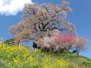 ݂ɂ킽̓V_vw̓eʐ^2