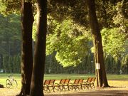 mansan����̋m�����̓��e�ʐ^1