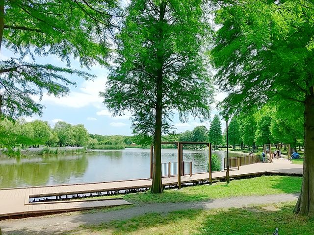 �L���ȗ΂ƒނ�r_�ɐl����