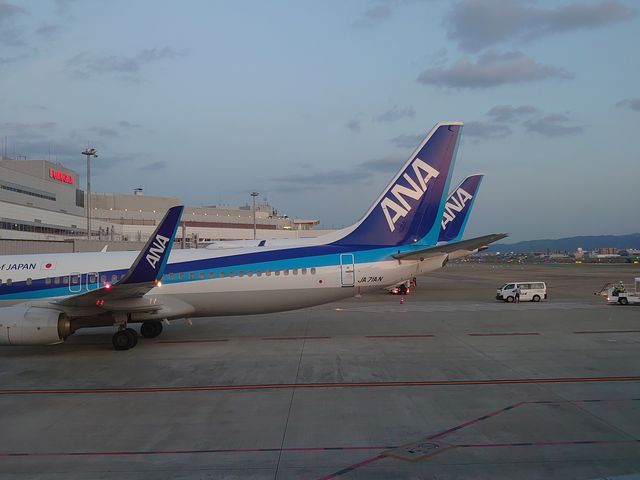 ���ꂩ��A�H_������`