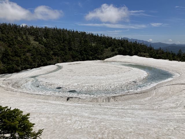 �h���S���A�C_������