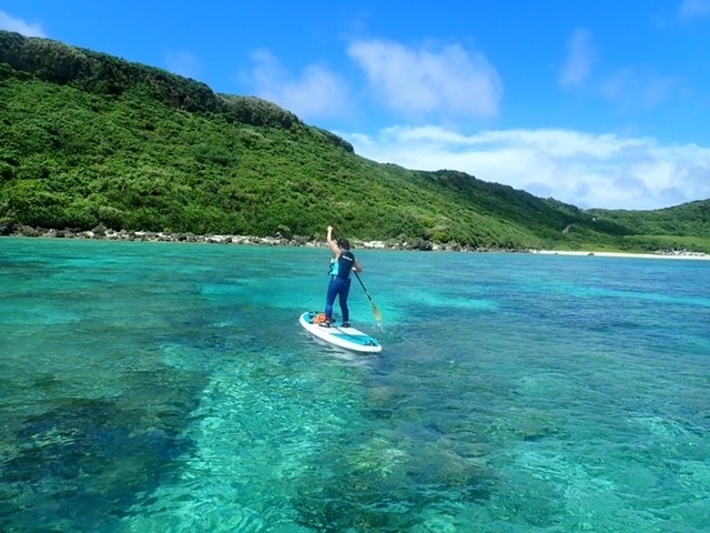 {Ãu[̊CSUP͍ō_I[VY21