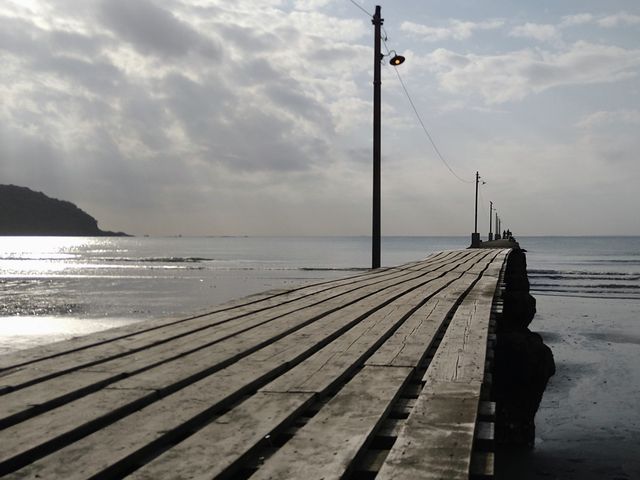 �����C�݁A�C�ɐL�т�V��_�����C������