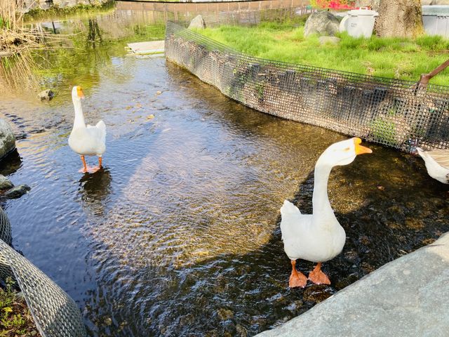 �K�`���E�H�A�q���H_���̉w ���c���v���U