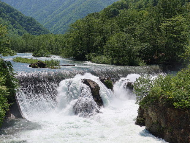 yosshy̎D쉀n̓eʐ^1