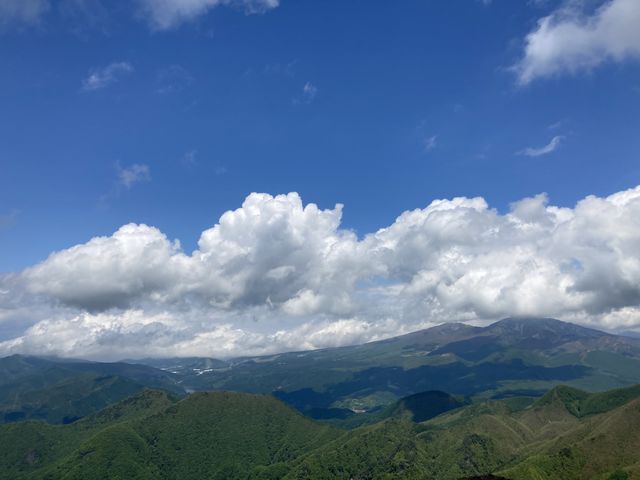 EɕSR̎lRiQnjBׂ̂ɉԂ̕SR̍qxijԁB_GXqx