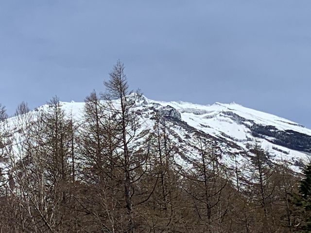 �l���ڑ��W�]�䂩�猩��ƁA�x�m�R�����������Ȃ��c����������t�߂�]�߂܂�_�x�m�X�o�����C��