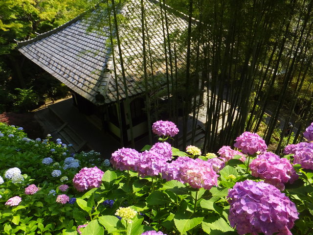 ���]�U���H_���J���̃A�W�T�C