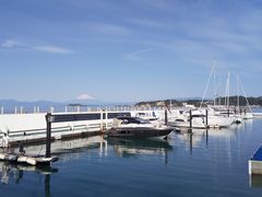 yukio̐q}[iւ̓eʐ^1