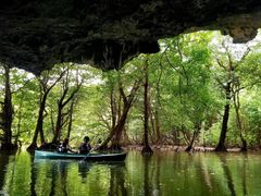 CCCOHCUSΊ_ւ̓eʐ^1