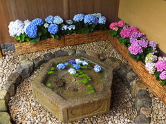 jR񂳂̈bώRւ̓eʐ^1