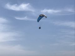 �Ђ��肳��̏����M�C���p���O���C�_�[�̌��ւ̓��e�ʐ^1