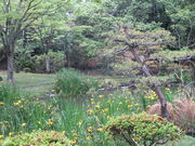 �̂�䂫����̏���_�В뉀�̓��e�ʐ^1