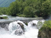 yosshy̎D쉀n̓eʐ^2