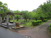 �̂�䂫����̏�R�����̓��e�ʐ^2