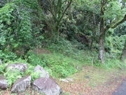 �̂�䂫����̐�����Ղ̓��e�ʐ^1