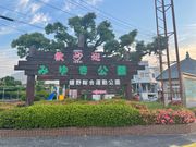 4l̂[񂳂݂̂䂫̓eʐ^1