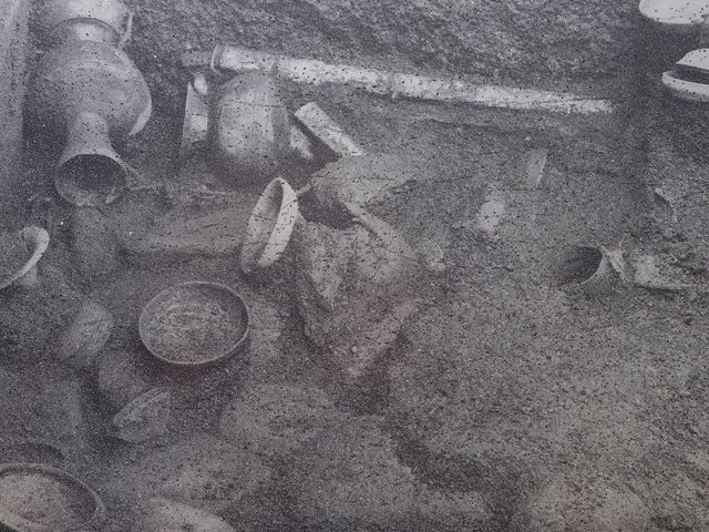 ���@�����̎ʐ^�B_���M��2����