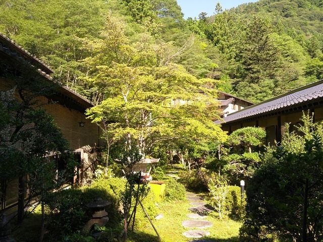 �{�ݑS�̂��ې��������{�뉀�ň͂܂�Ă���_�^�؉���