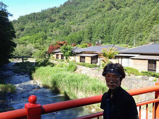 �k���z���Ɍ����h���{��_�^�؉���