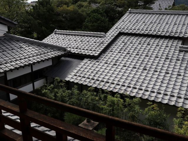 ��K���猩���ᏼ�ɁB_�����@��t�{��