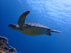 ݁[̃CgΊ__CrOVbvւ̓eʐ^3