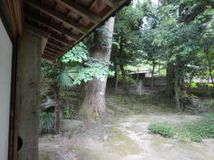 キンちゃんさんの武田家住宅の投稿写真6