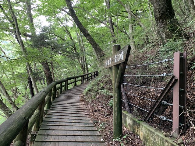 ���ԏꂩ�琔���o�����ꏊ�ł��A�J�͍~���Ă܂���
�O�����̒��J�Ŋ���₷���������ł��B_�����̑�