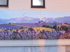 blackbird����̃t�����e�B�A�@�t���k�C����ւ̓��e�ʐ^1