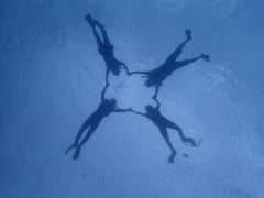 悵̃}Nu Gigiւ̓eʐ^1