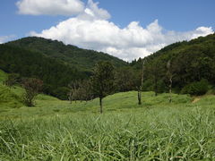 砥峰高原の写真一覧 - じゃらんnet