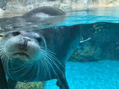 大分マリーンパレス水族館 うみたまご の写真一覧 じゃらんnet