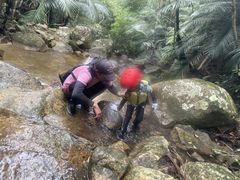 ihhîɂ̂ȐΊ_ւ̓eʐ^2