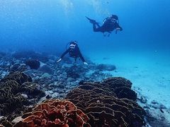 肳̔_CrOT[rX@Smiley Diveւ̓eʐ^1