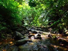 \ ADVENTURE PiPi̎ʐ^1