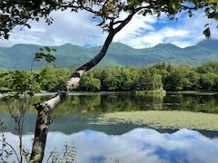 [񂳂̊Вmc[Xgւ̓eʐ^1