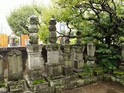 �^�J�V����̍��쎁�ݑ�̕�̓��e�ʐ^1