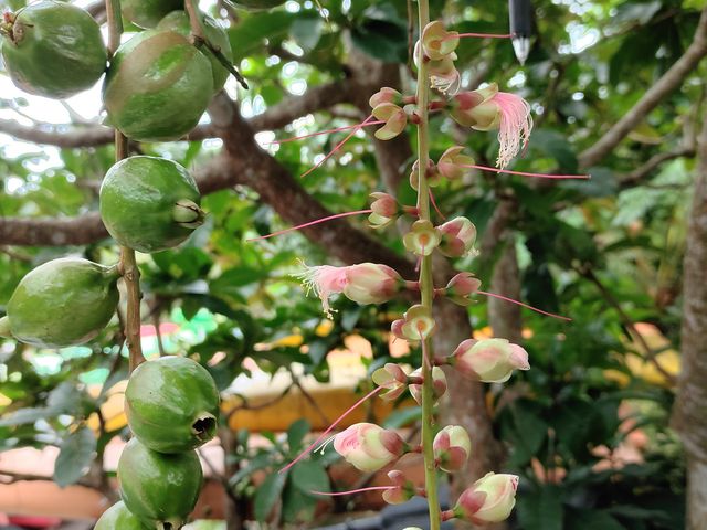 uԁv傤Ǎ炢Ă܂BcOȂ牺͐ł͂܂łB_}O[u