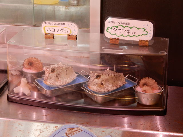 �^�R�t�l�͏��߂Č��܂���_�V�[�p���s�A����