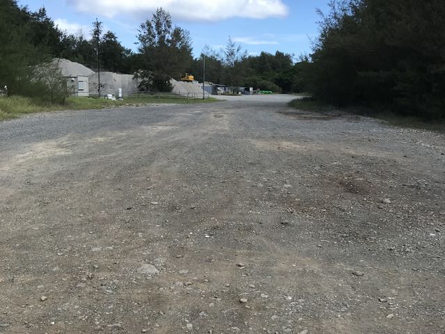 ������s��Ւn_�|�l�C�`���[�A�J�f�~�[